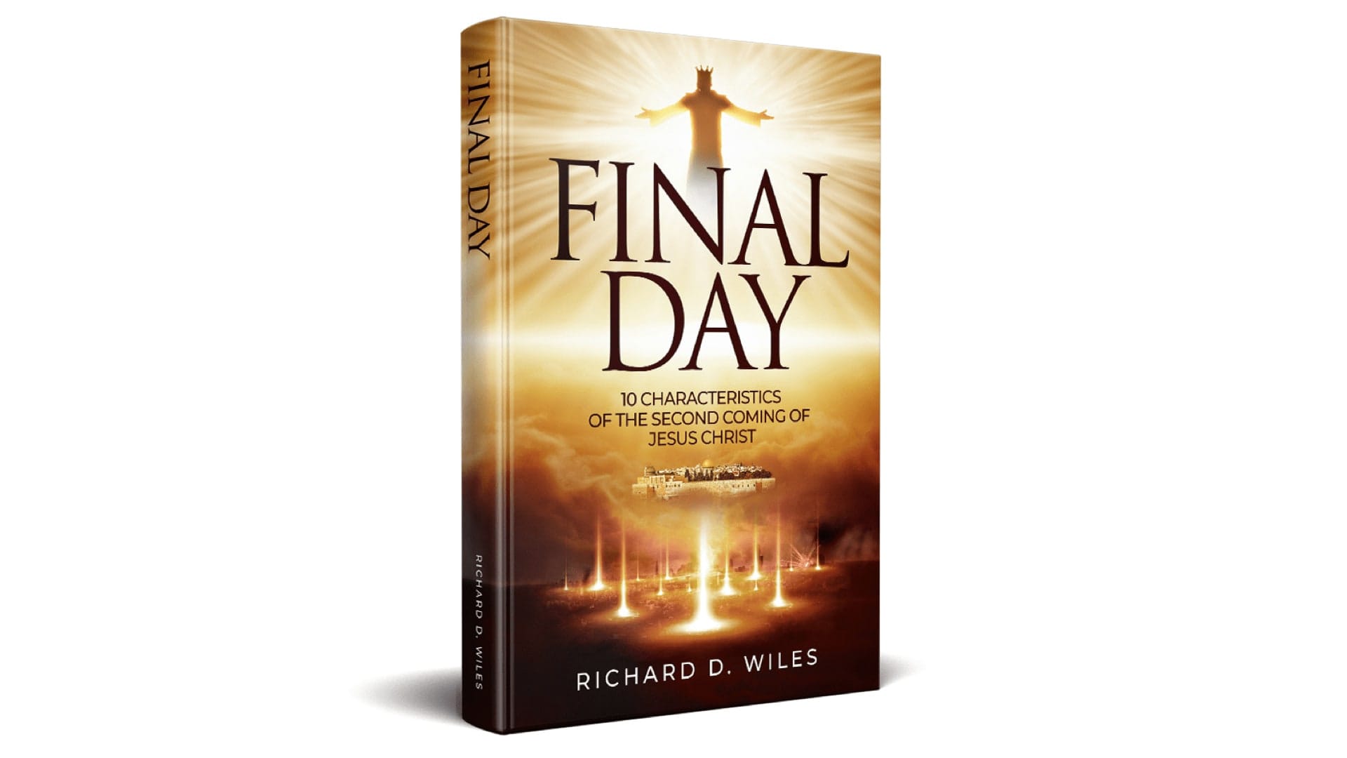 the final day book review